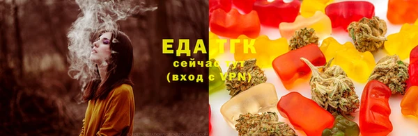 гидра Абаза