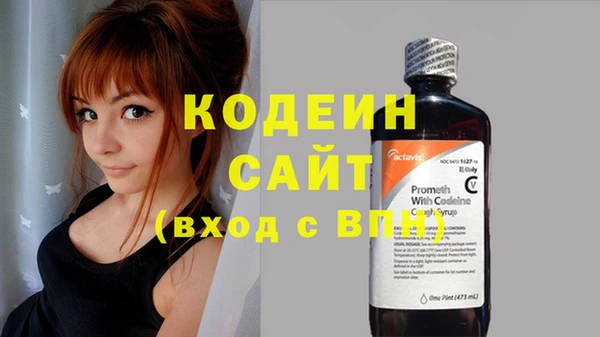 гидра Абаза
