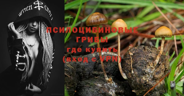 Альфа ПВП Нефтегорск