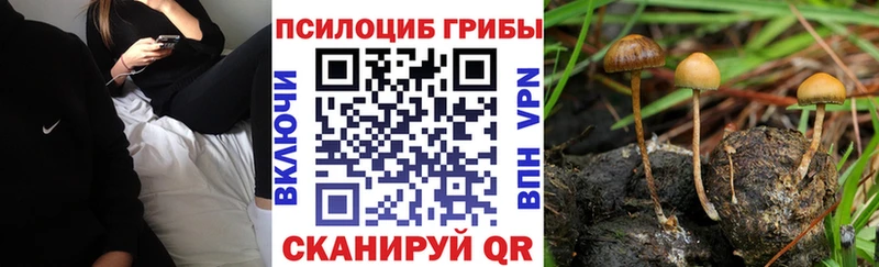 Псилоцибиновые грибы Magic Shrooms  ОМГ ОМГ ссылки  Камышлов 